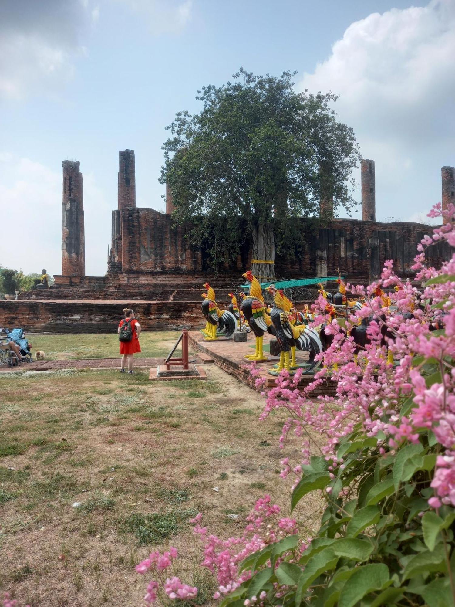 Plus Hostel Ayutthaya Exterior photo